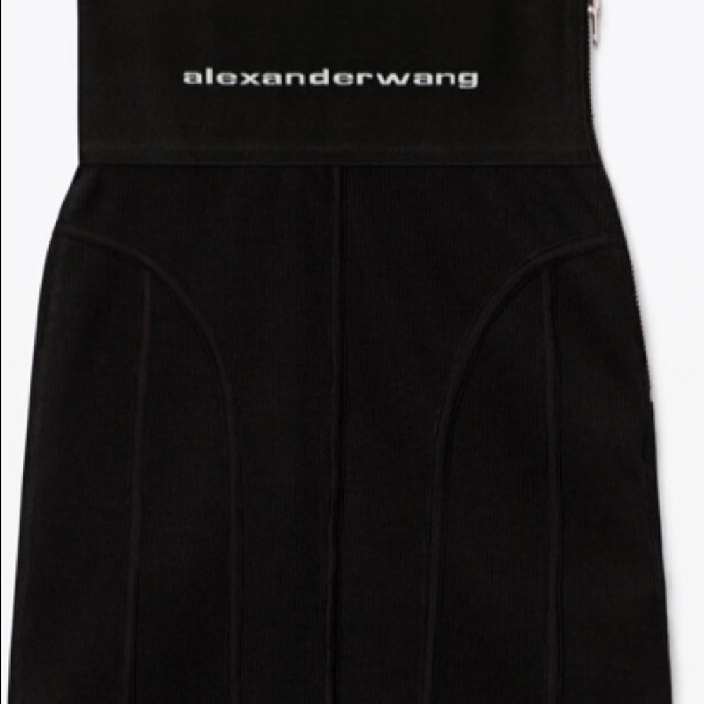 Alexander Wang pre loved mini(size Large)